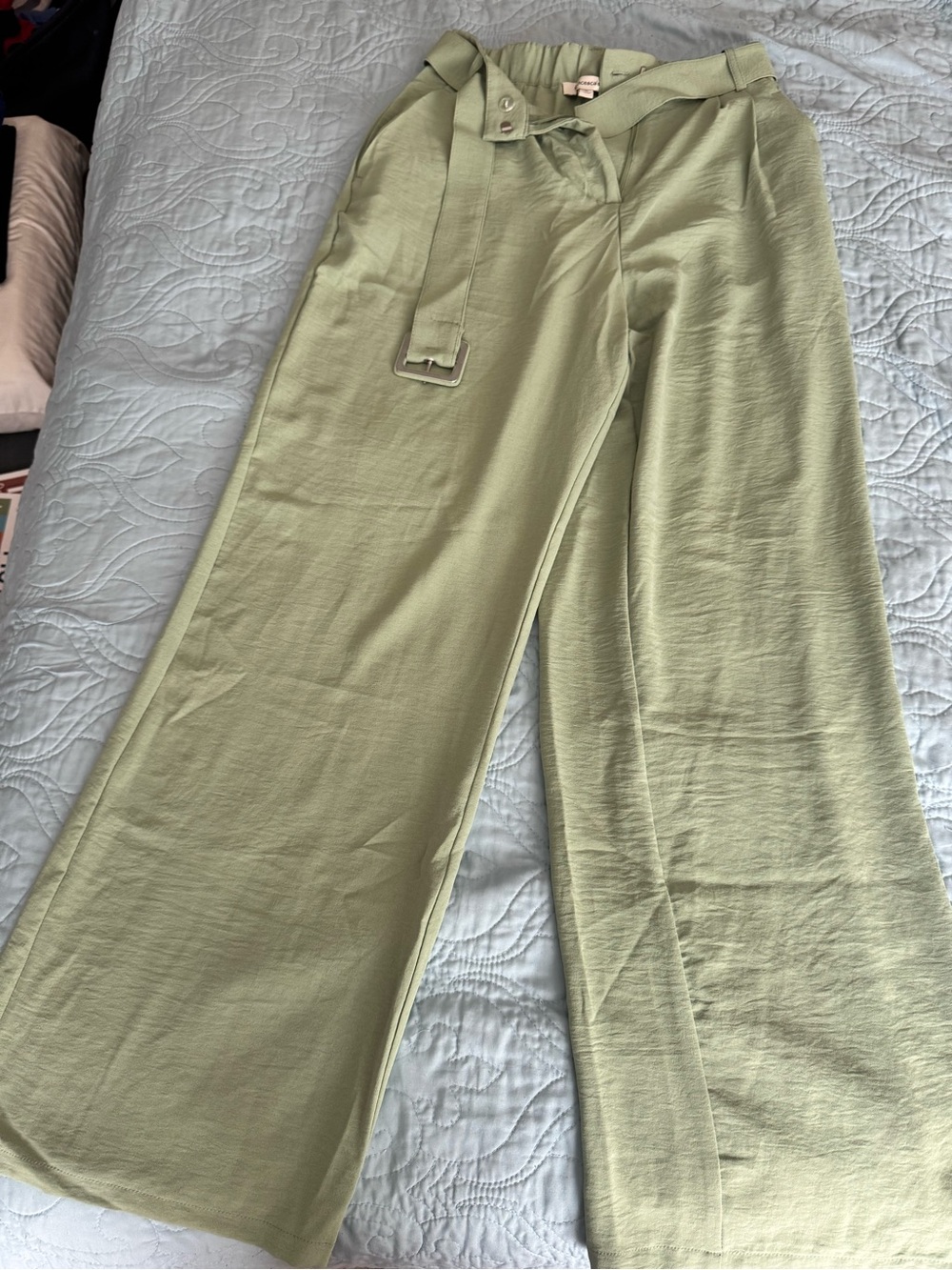 Francesca's Collections Light Sage Wide-Leg Belted Pants